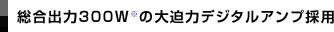 �����o��300W���̑唗�̓f�W�^���A���v�̗p