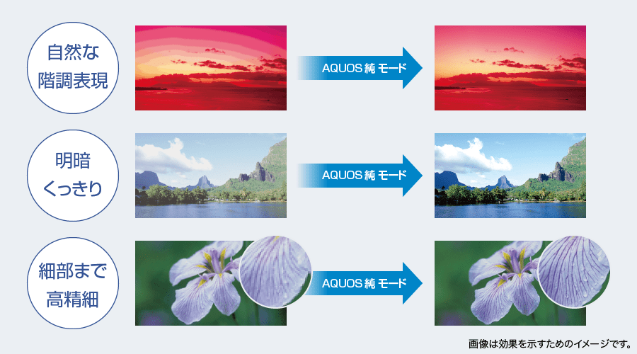 AQUOS 純モードのイメージ