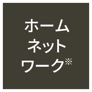ホームネットワーク※1