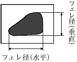 フェレ径（別名：射影幅）画像