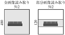 部分画像読み取り画像