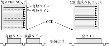 全画素読み取り（プログレッシブスキャン）画像