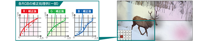 各RGBの補正処理例(一部)
