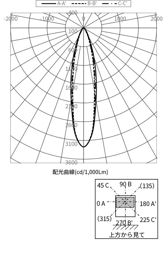 配光曲線