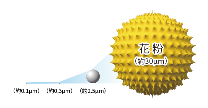 花粉（約30&micro;m）のイメージ