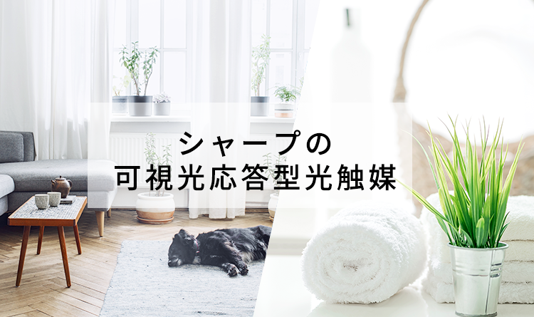 光触媒とは