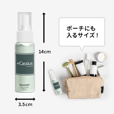 ポーチにも入るサイズ!