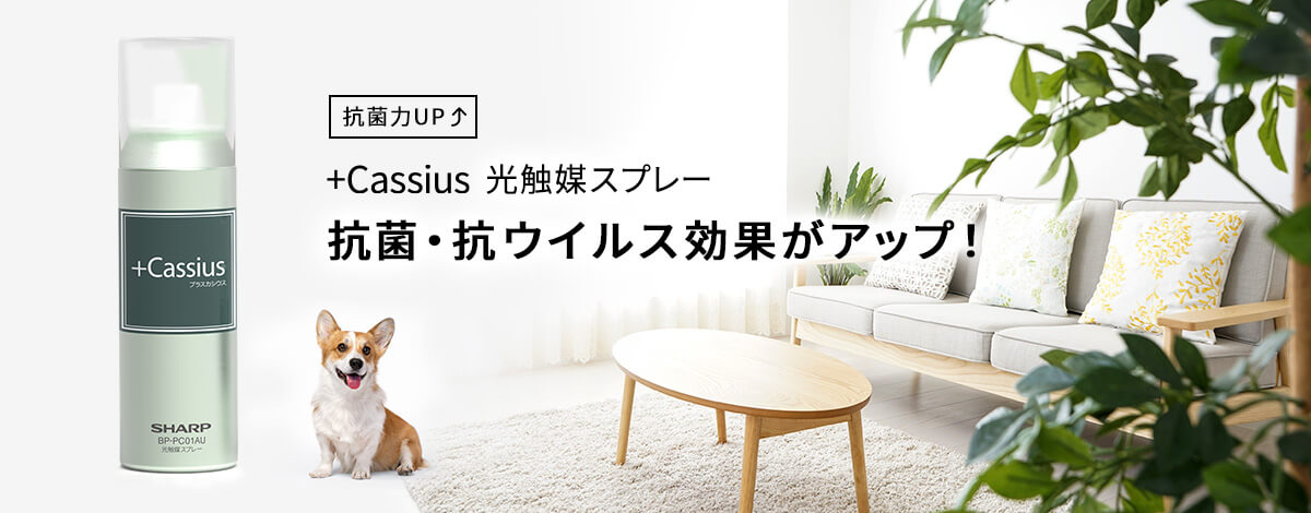 +Cassius 光触媒スプレー 抗菌・抗ウイルス効果がアップ！