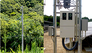 敷地の隣に1本だけ立つ電柱（写真左）
