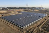 利根町シャープ太陽光発電所（茨城県北相馬郡利根町）