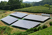 石井さま（京都府）