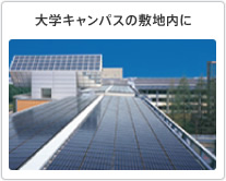 大学キャンパスの敷地内に