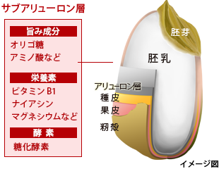 サブアリューロン層：イメージ図