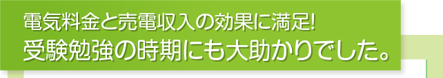 つくった電気や、割安な電気を自動で蓄電!蓄電池まかせで節電できます。