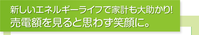 新しいエネルギーライフで家計も大助かり！売電額を見ると思わず笑顔に。