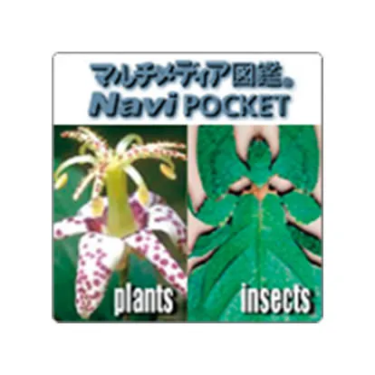 植物・昆虫図鑑