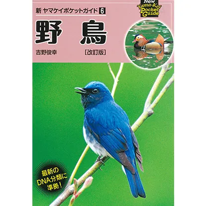 新ヤマケイポケットガイド 野鳥