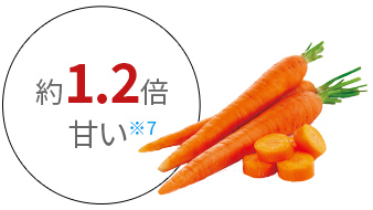 にんじんの糖度