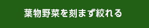 葉物野菜を刻まず絞れる