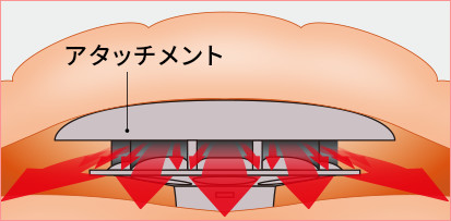 ふとん内部断面