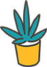 植物