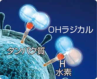 タンパク質から水素（H）を抜き取りイメージ