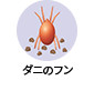 ダニのフン