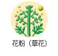 花粉（草花）