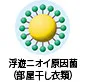 浮遊ニオイ原因菌（部屋干し衣類）