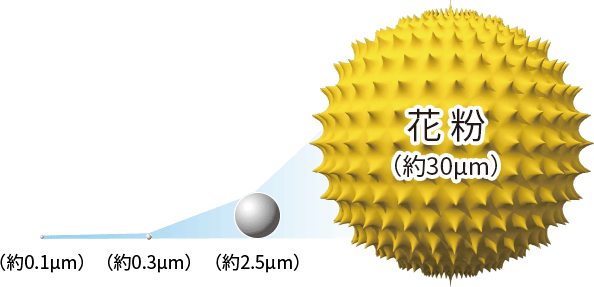粒子の大きさイメージ、花粉は約30マイクロメートル