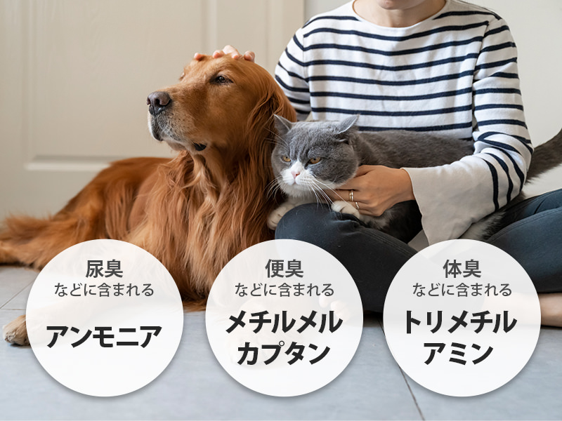 ペットイメージ