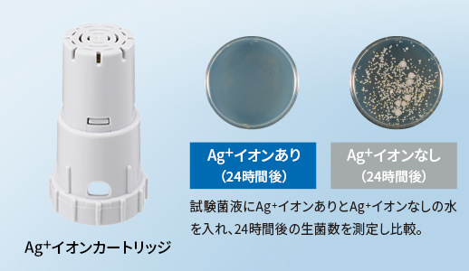 試験菌液にAg+イオンありとなしの水を入れ、24時間後の生菌数を測定し比較した結果