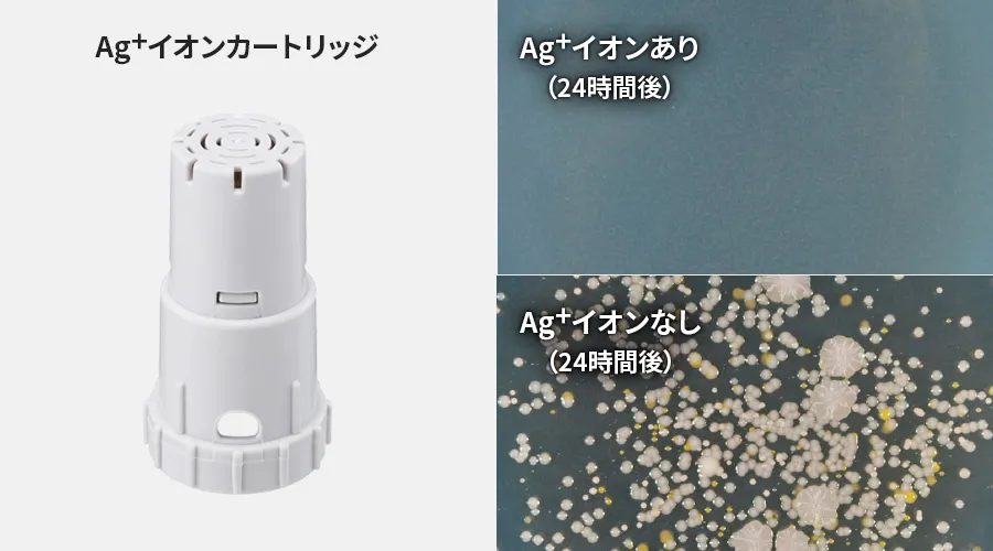 銀イオンあり、なしで24時間後の生菌数を比較した写真。銀イオンがない場合、菌が繁殖します。