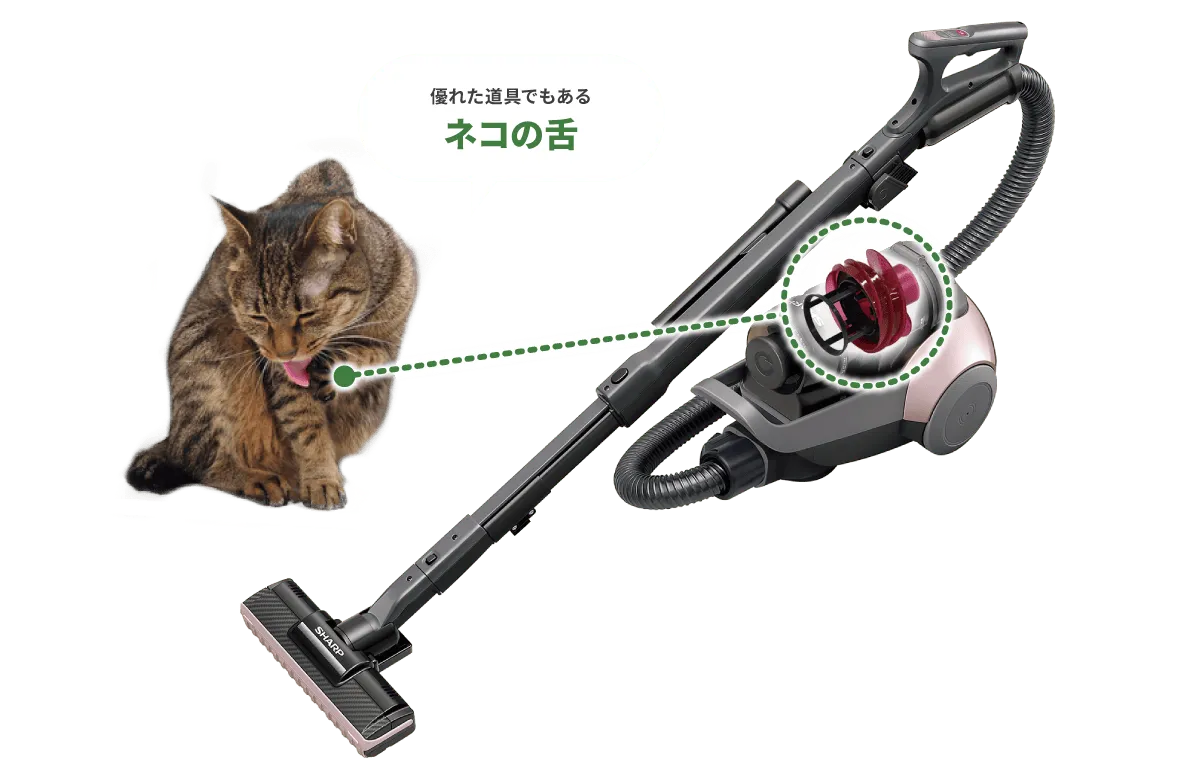 優れた道具でもある猫の舌