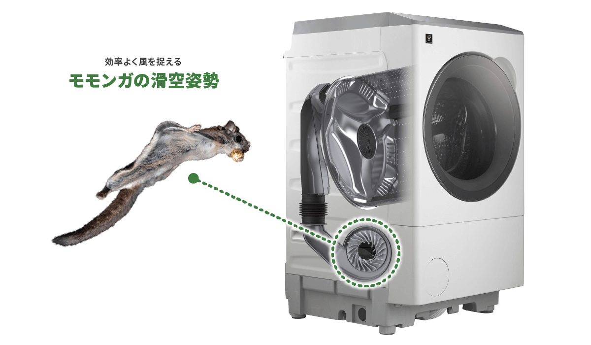 効率よく風を捉えるモモンガの滑空姿勢