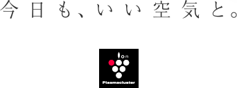 今日も、いい天気と。