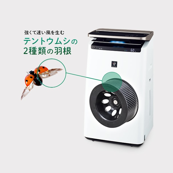 強くて速い風を生むテントウムシの２種類の羽根