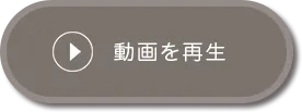 動画再生ボタン