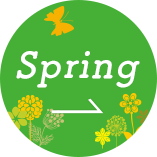 Springアイコン