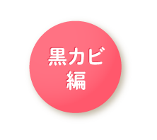 黒カビ対策に感動！長野 塩澤さま