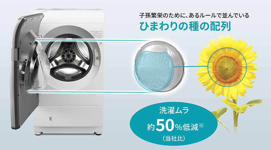 ひまわりの種の配列を応用したドアの裏の凹凸イメージ