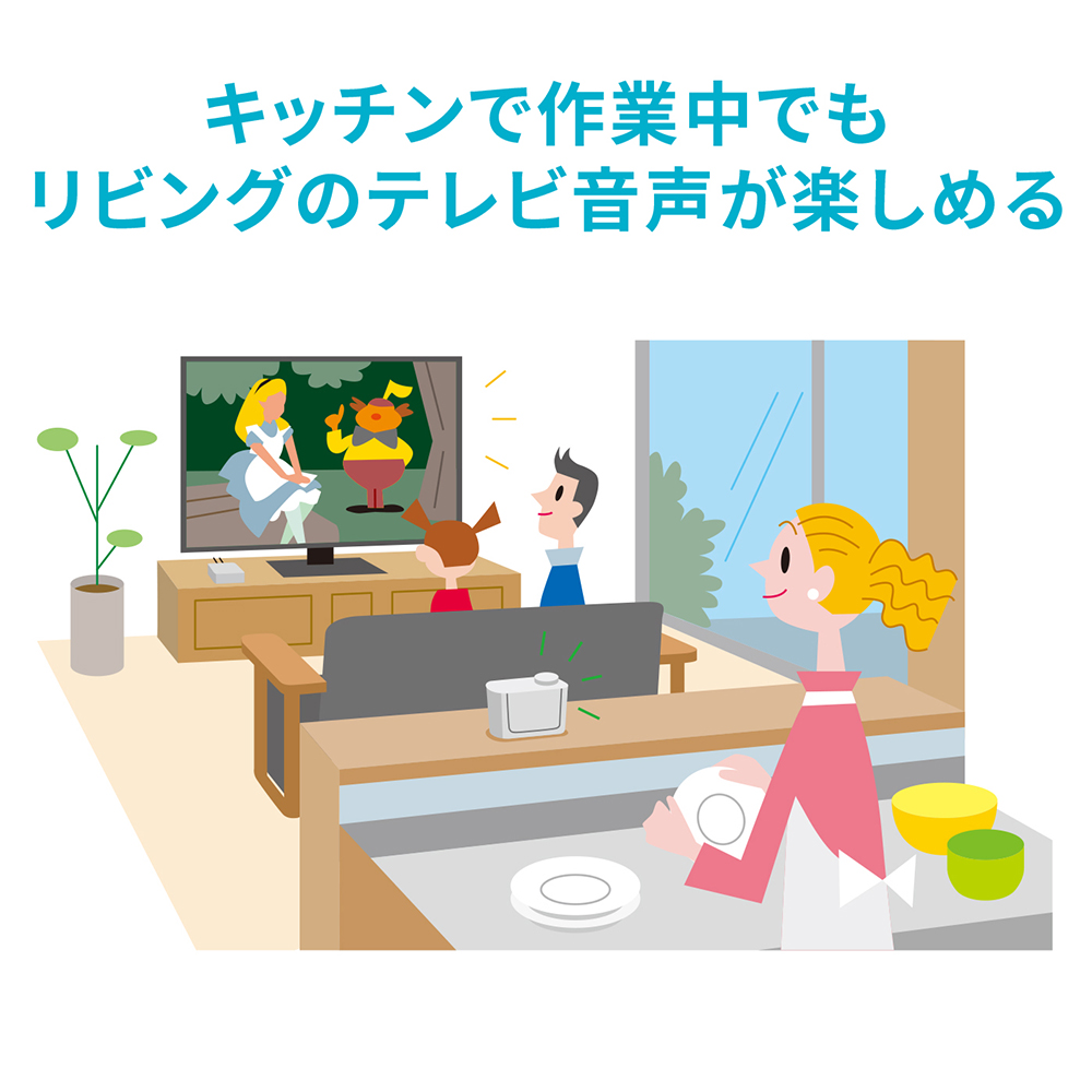 製品イメージ