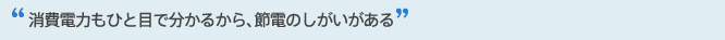 ����d�͂��ЂƖڂŕ����邩��A�ߓd�̂�����������