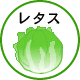 レタス