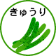 きゅうり