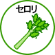 セロリ