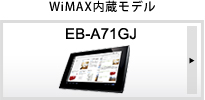 WiMAX�������f��