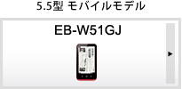 5.5�^ ���o�C�����f��