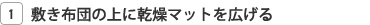 �~���z�c�̏�Ɋ����}�b�g���L����
