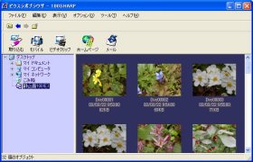 �s�N�X���{ �Î~��N�C�b�N�t�H���_�W�J��